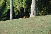  2007-12-10 09.27.32.JPG 